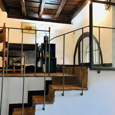 Domus Celentano روما